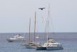 Drone to Yacht (14)