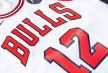 Motorola Chicago Bulls  (1).jpg