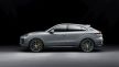 Porsche Cayenne 2023 (13).jpg
