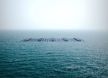 Wave Energy Converter (4).jpg