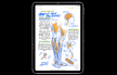 Apple iPad Air 2022 (3).png