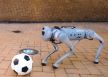 DribbleBot robot (3).jpg