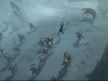 Diablo IV (3).jpg
