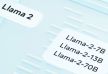 Llama 2.jpg