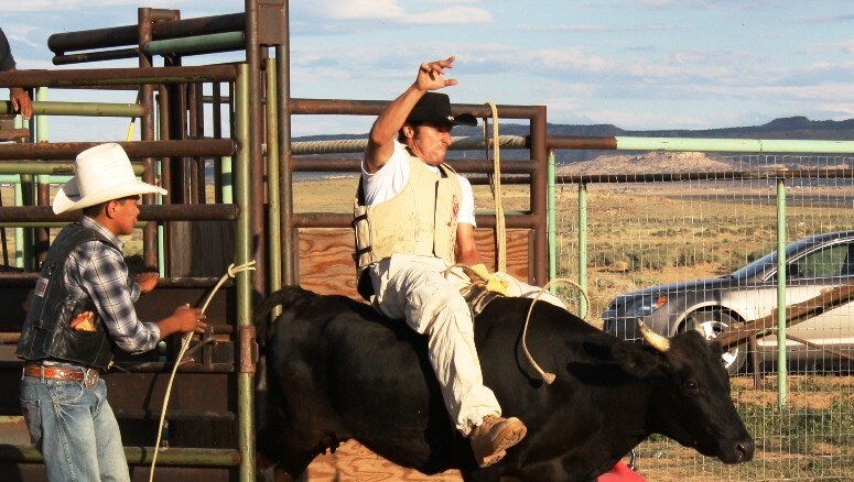 "Let na četveronožnim raketama" 