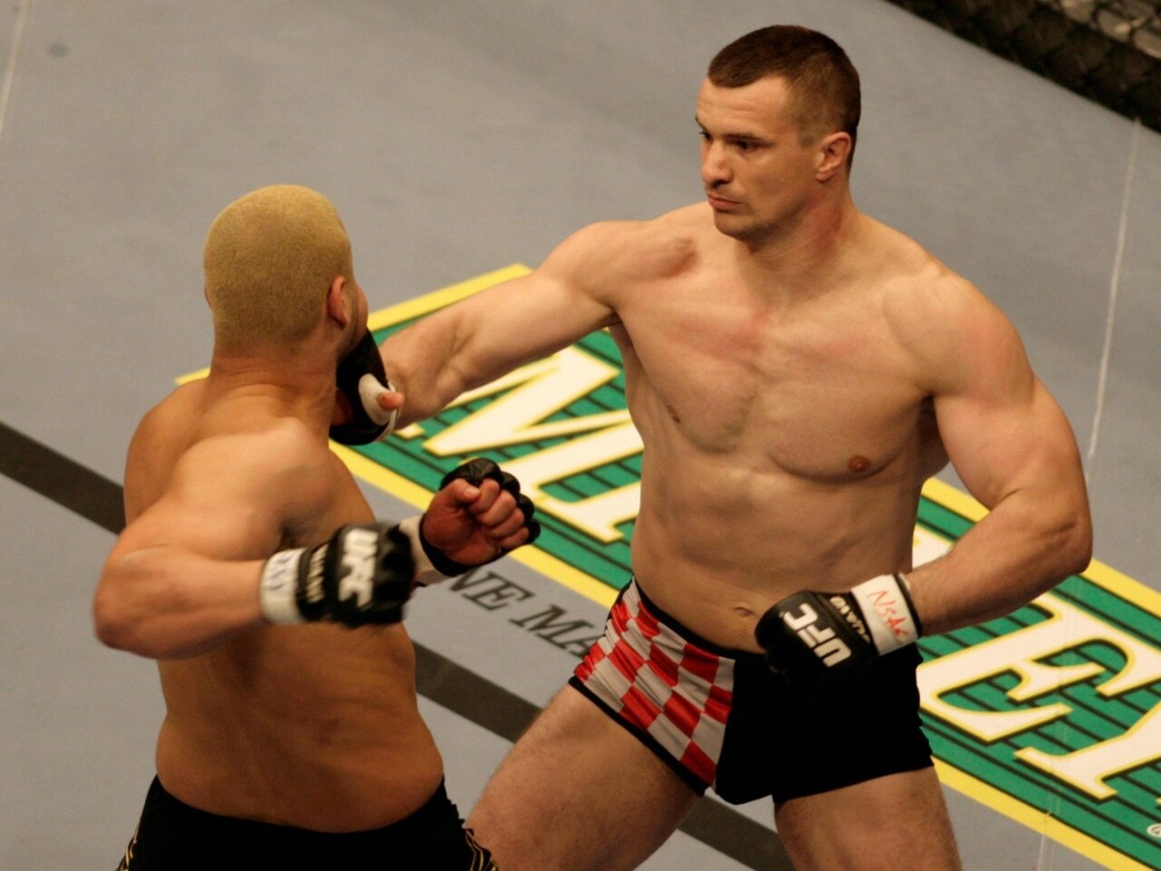 Mirko Filipović (10).jpg