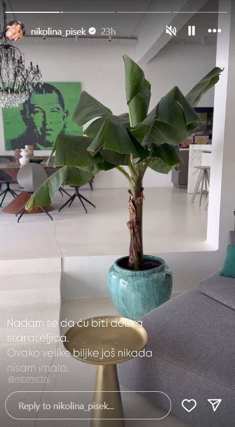 Nikolina Pišek prodaje luksuznu vilu, cijena je vrtoglava