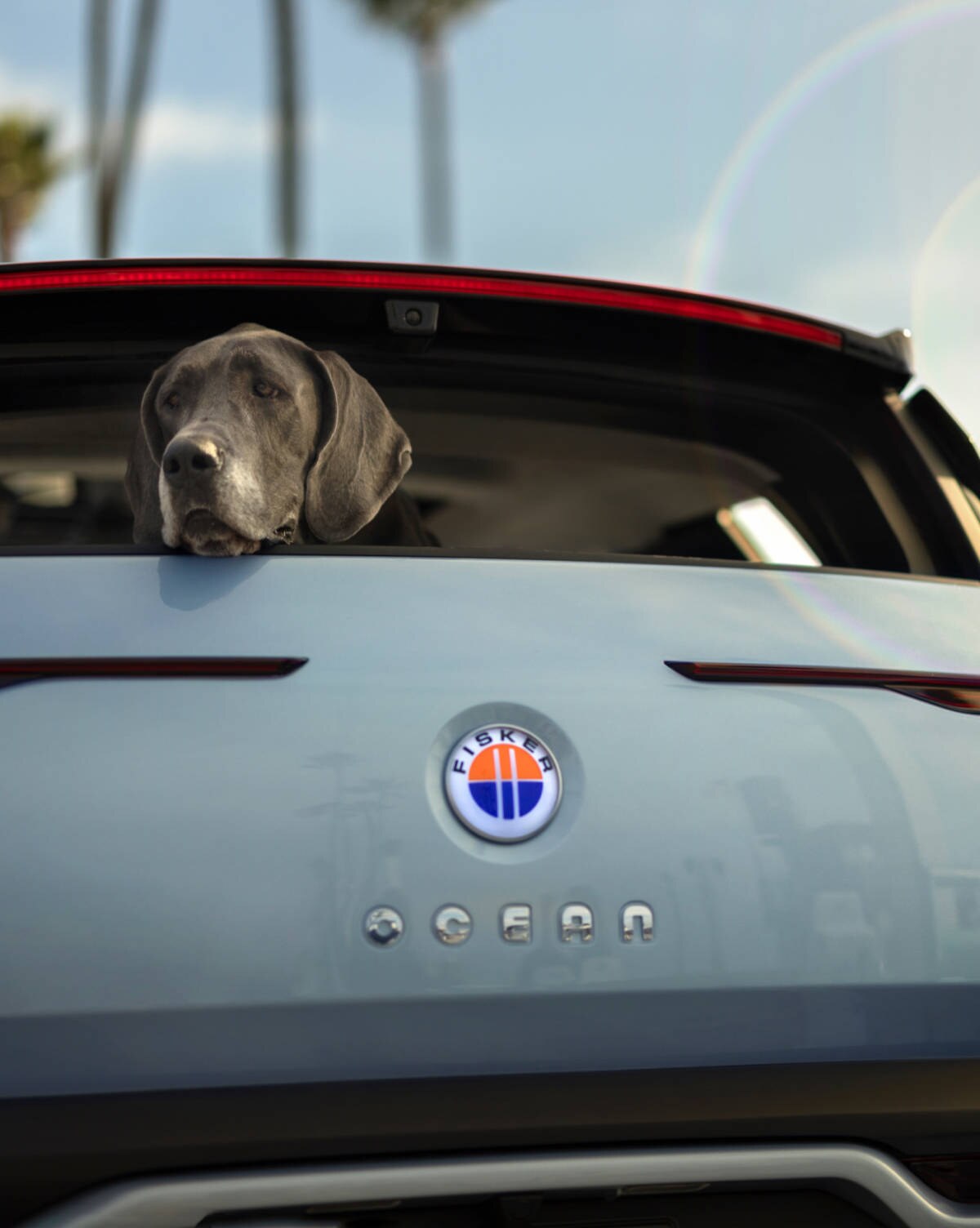 Fisker Ocean (8).jpg