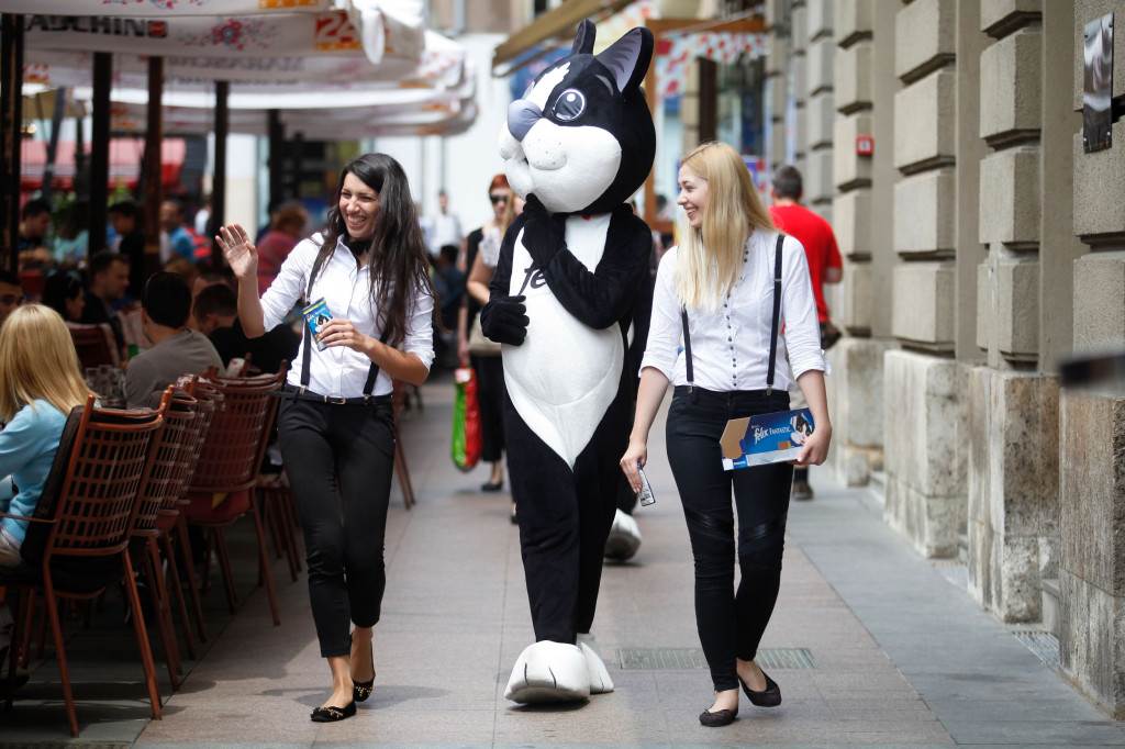 Purina FELIX hrana za mačke napokon i u Hrvatskoj