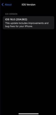 Apple iOS 16 4.jpg