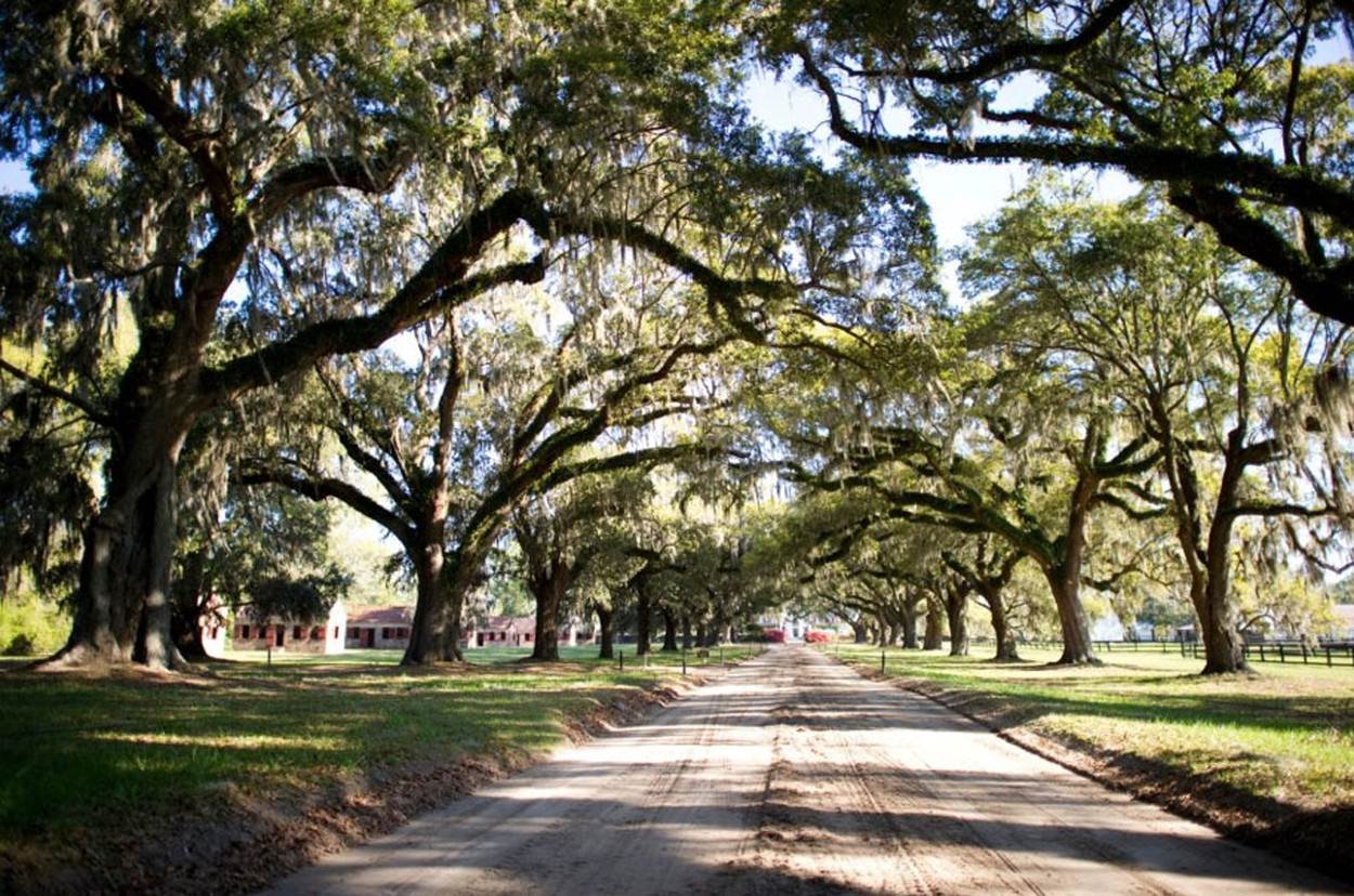 Zabranjeno objavljivanje fotografija s vjenčanja, a razlog je bizaran