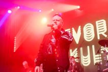 Sandi Cenov - Tvornica 30.jpg