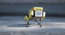 Mini Pupper robot (8)