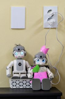 Alpha Mini robot (6).jpg