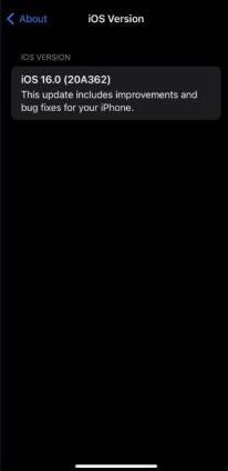 Apple iOS 16 4.jpg