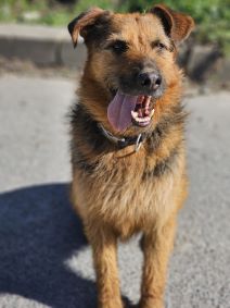 Asko (5).jpg