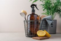 shutterstock_2393375777.jpg