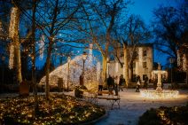 Samir Ceric Kovacevic_05122025_2Q7A8047.jpg