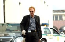 David Caruso kao Horatio Caine