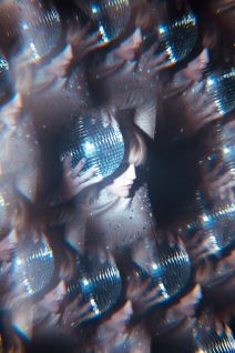 Horoskop astro zodijak