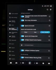 Jaecoo 7 SHS (16).jpg