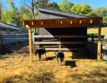 Snimka zaslona 2026-03-19 092133.png