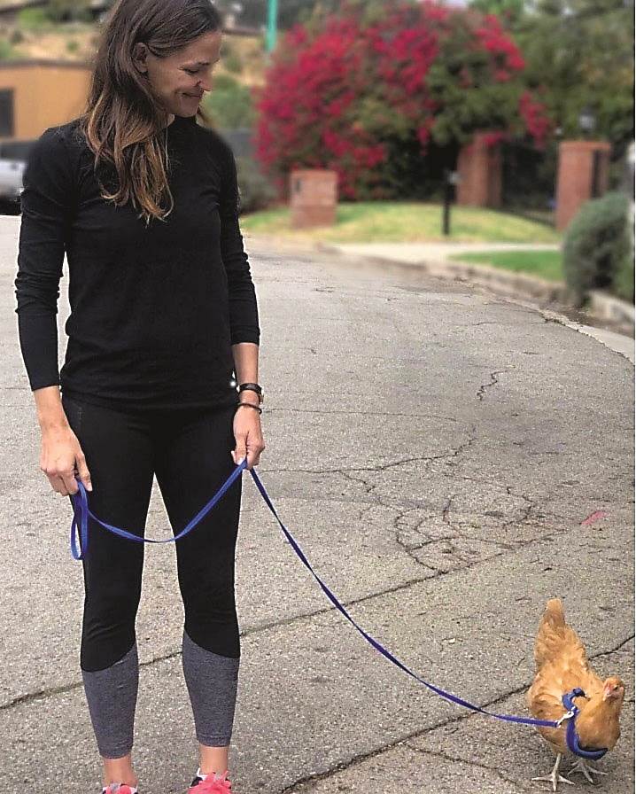 Poznati koji su 'klasične' ljubimce zamijenili egzotičnim