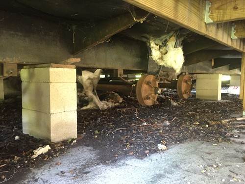 Nakon sretnog perioda, Brad Pitt ponovno u problemima