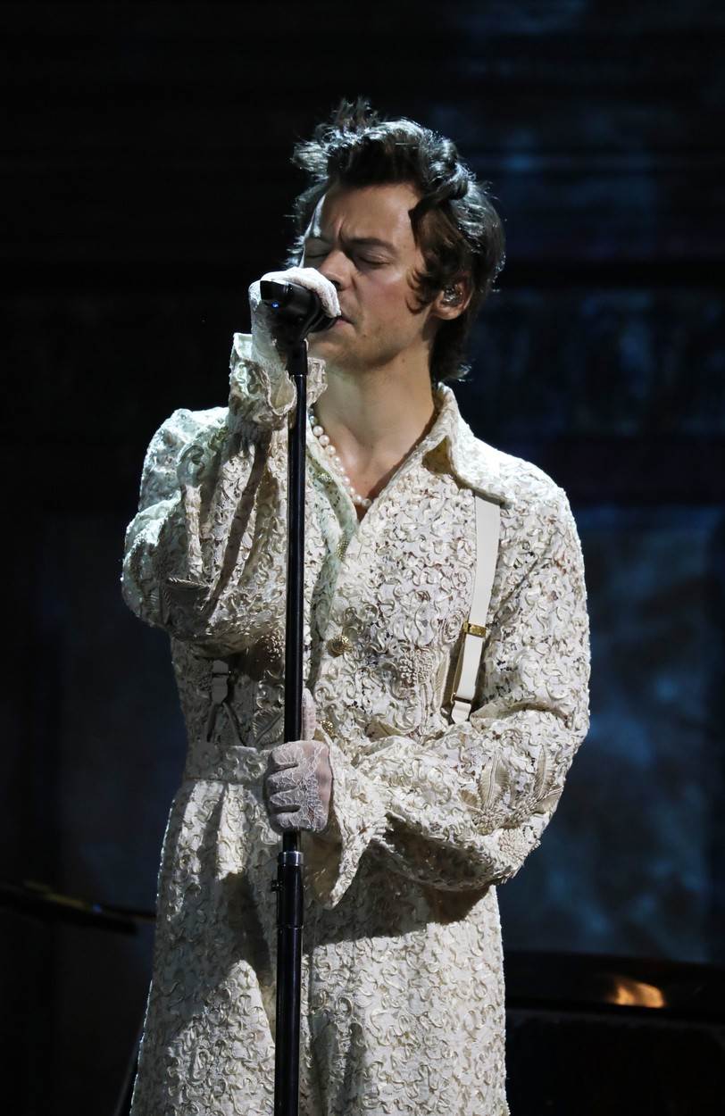 Harry Styles ima 4 bradavice