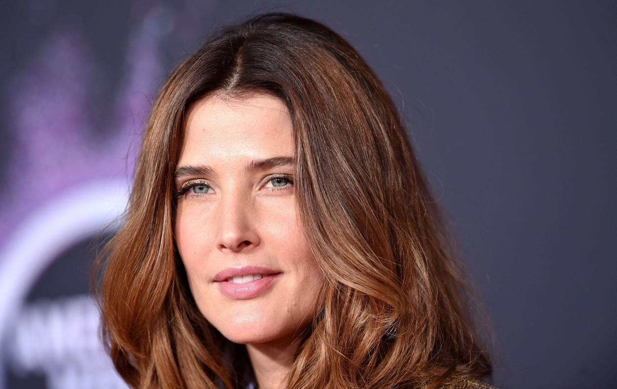 Kako danas izgleda Cobie Smulders koja glumi Robin u 'Kako sam upoznao vašu majku'?