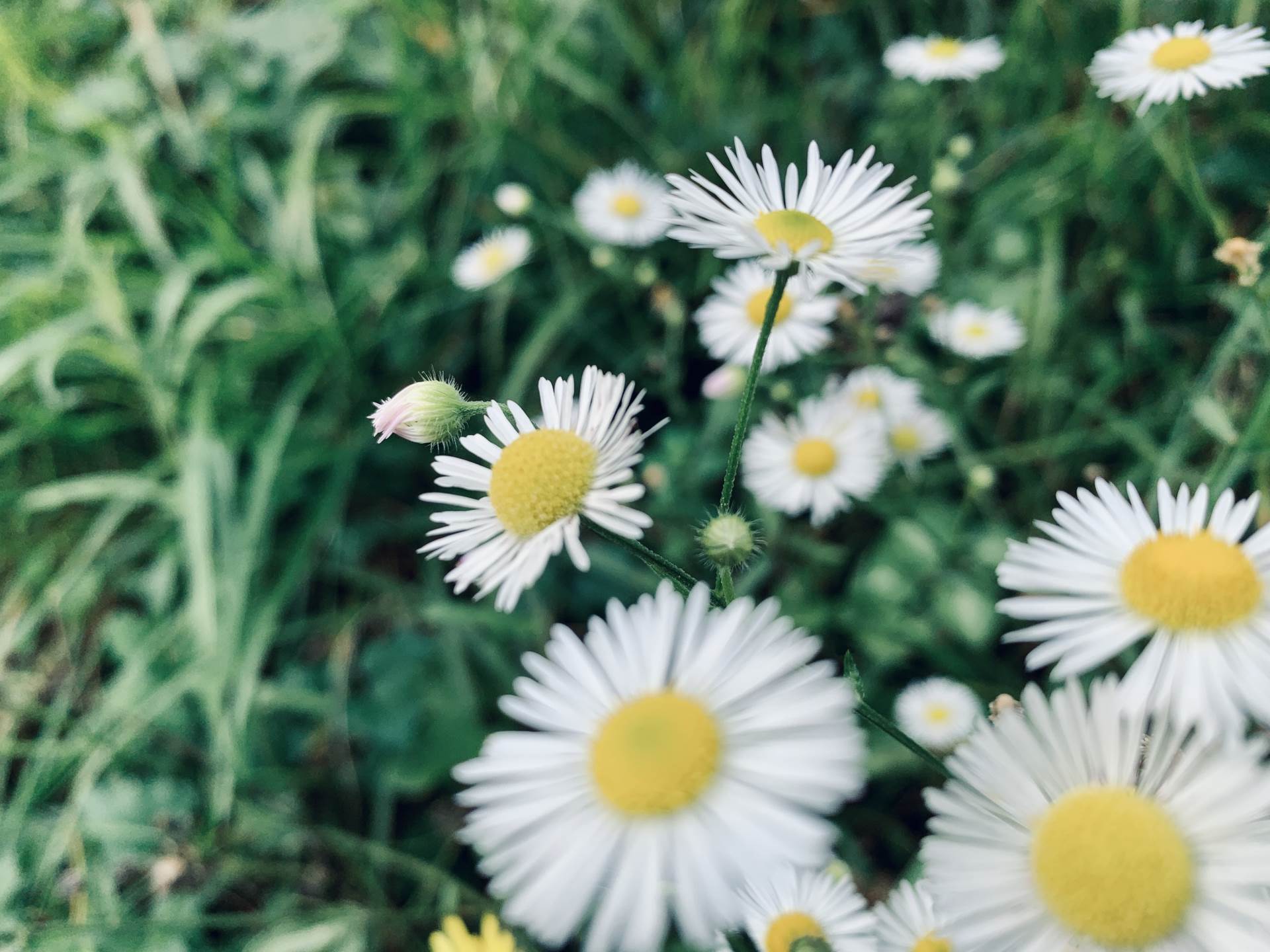 Domaći pjevač nikad emotivnije: 'Oči su mi bile stalno suzne'