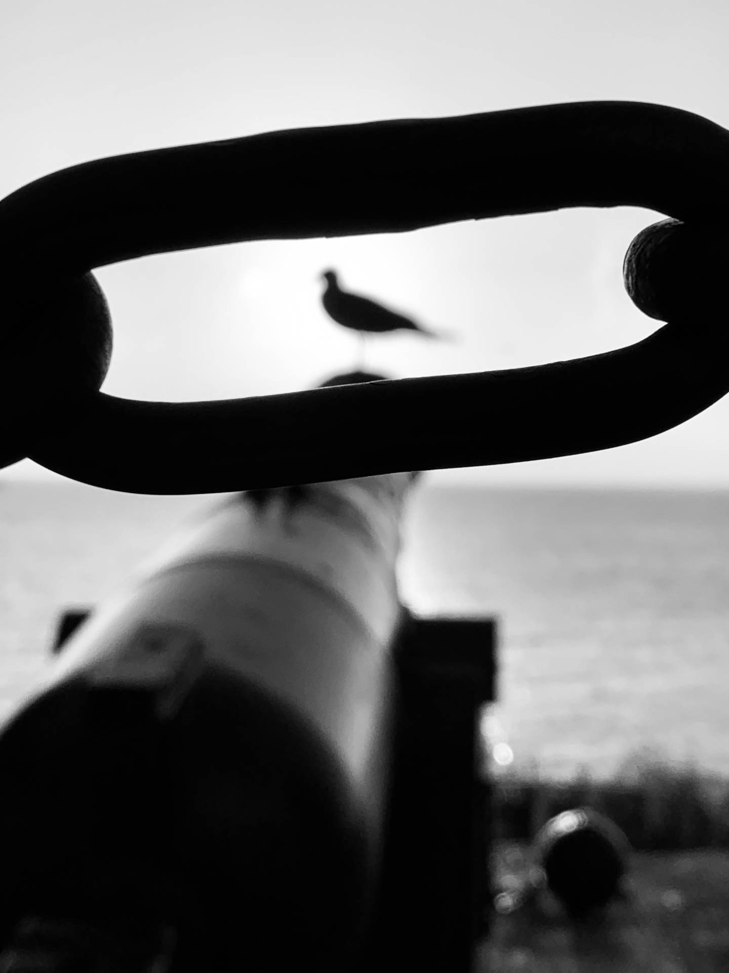 Domaći pjevač nikad emotivnije: 'Oči su mi bile stalno suzne'