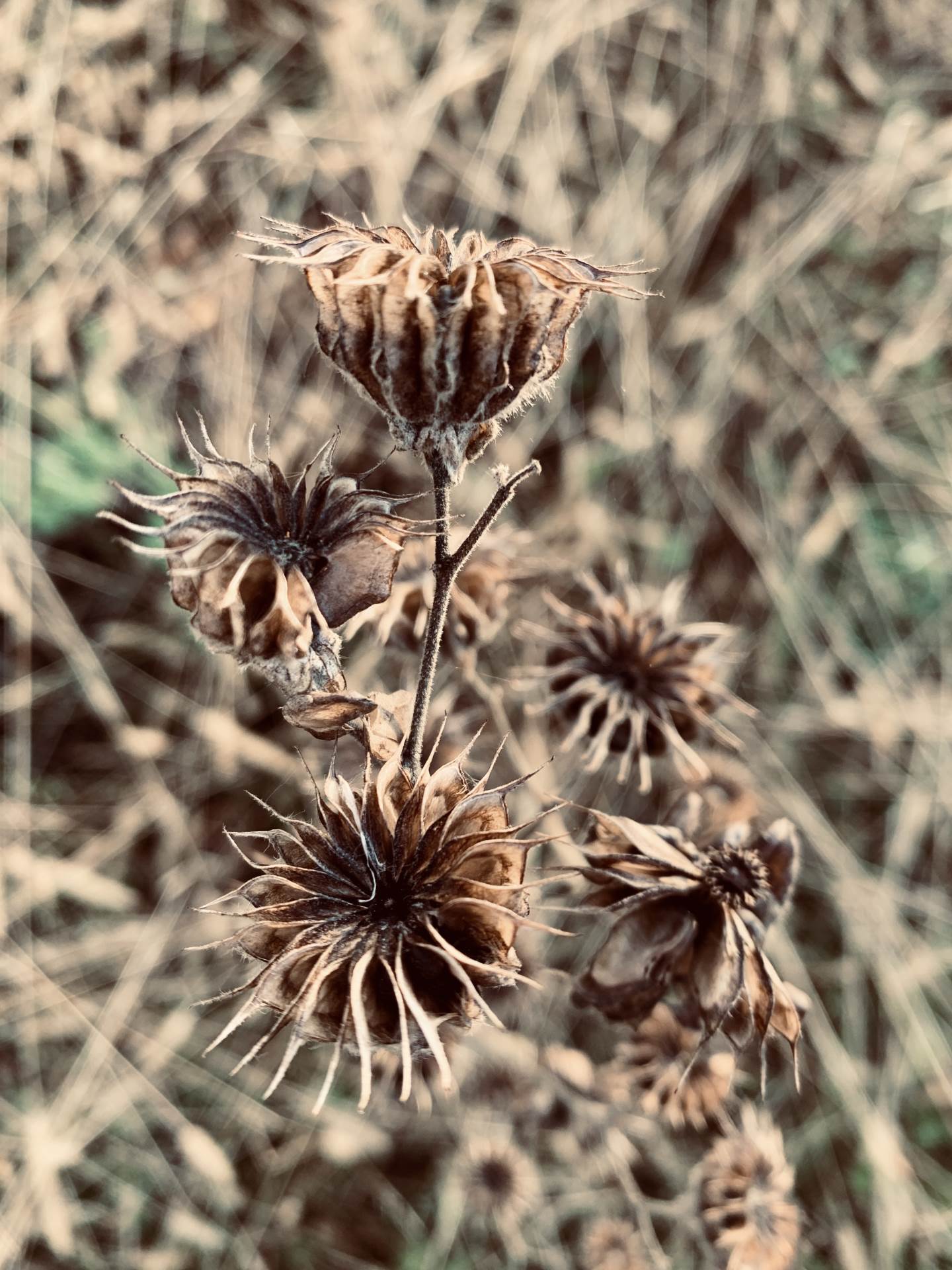 Domaći pjevač nikad emotivnije: 'Oči su mi bile stalno suzne'