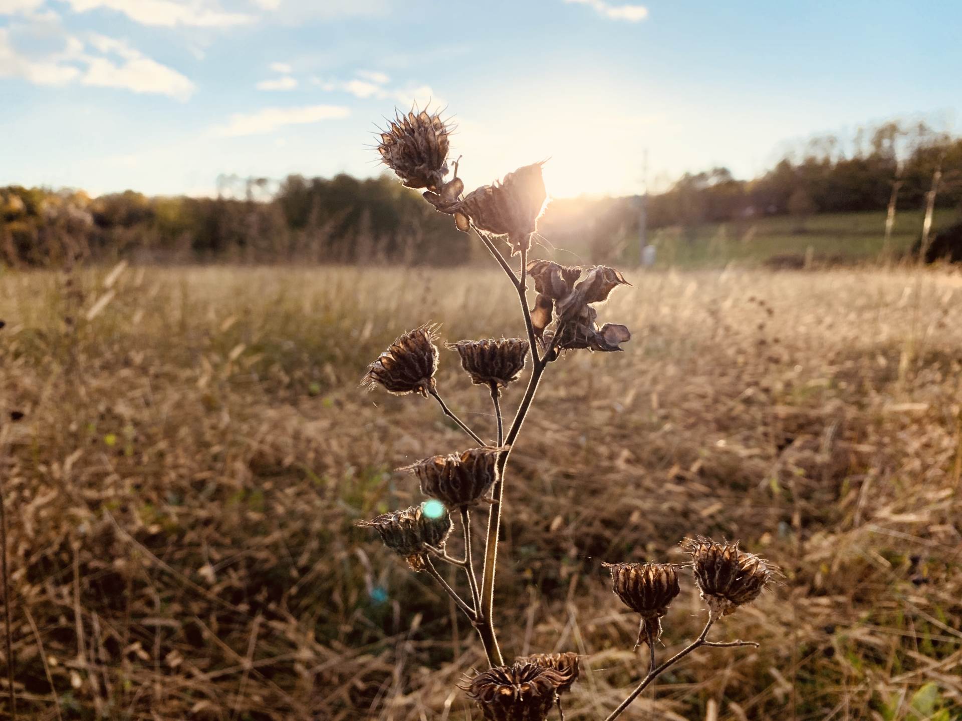Domaći pjevač nikad emotivnije: 'Oči su mi bile stalno suzne'