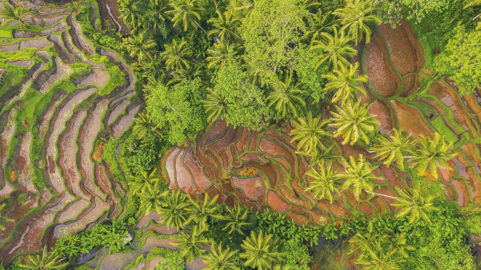 PUTOVANJE OKO SVIJETA Izložba fotografija Gorana Jovića