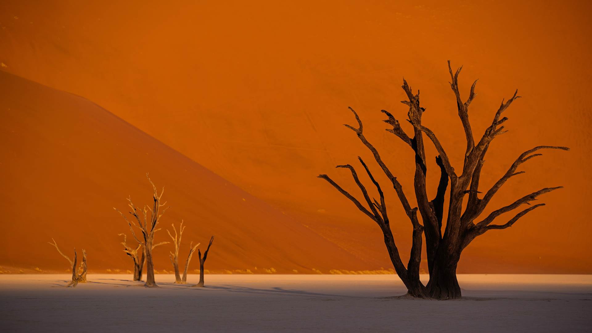 PUTOVANJE OKO SVIJETA Izložba fotografija Gorana Jovića