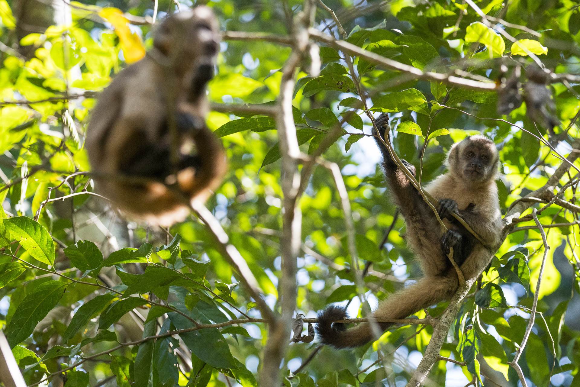 PUTOVANJE OKO SVIJETA Izložba fotografija Gorana Jovića