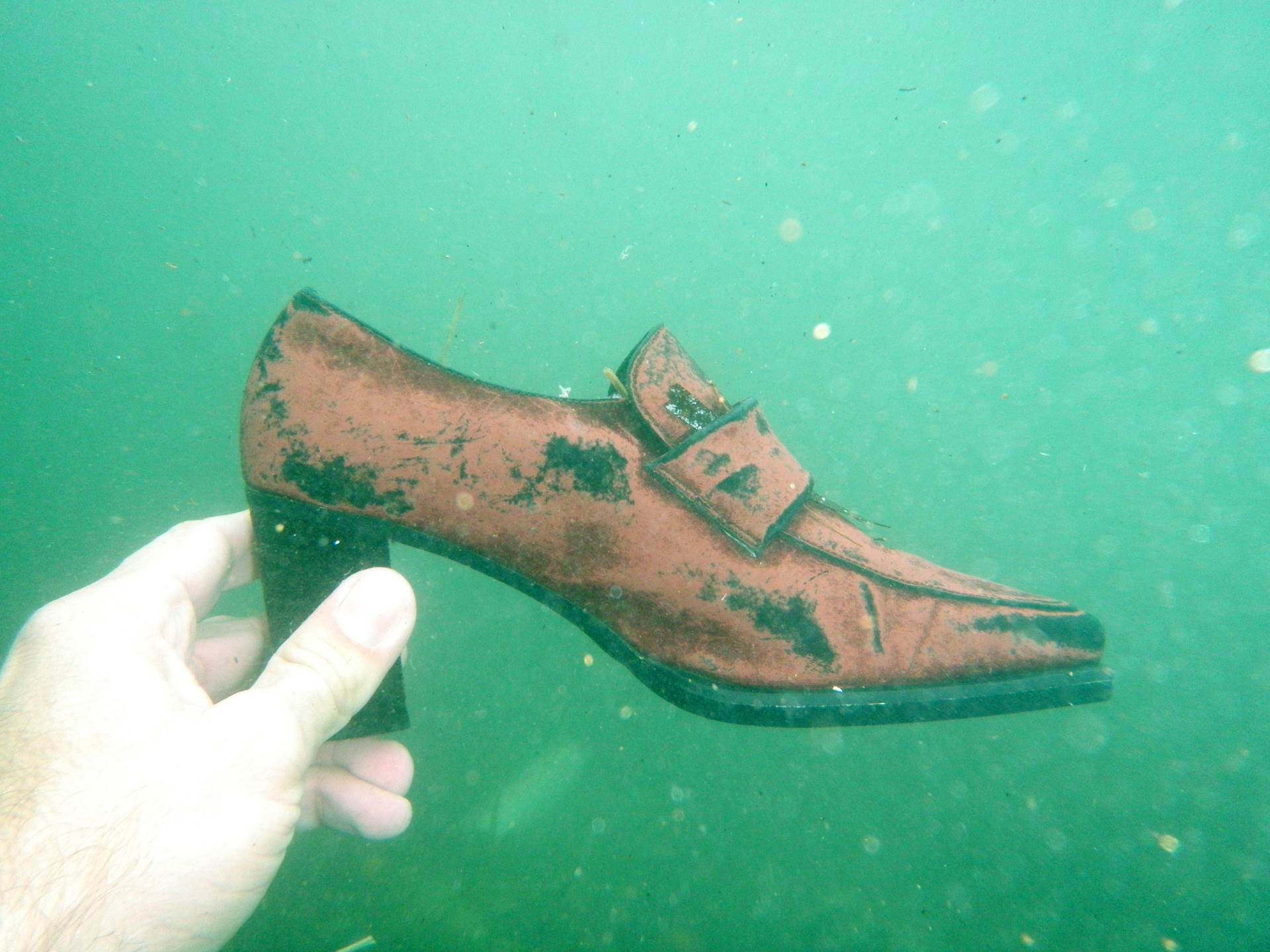 Art Ecology - Art for the Oceans od 21. listopada u Zagrebu