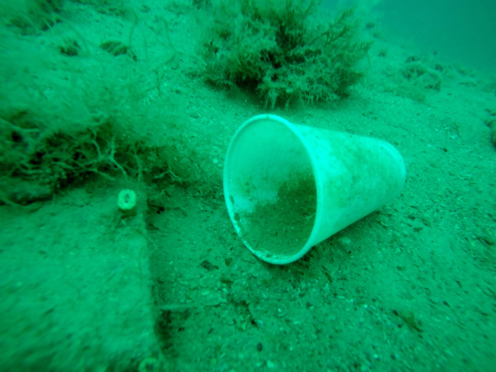 Art Ecology - Art for the Oceans od 21. listopada u Zagrebu