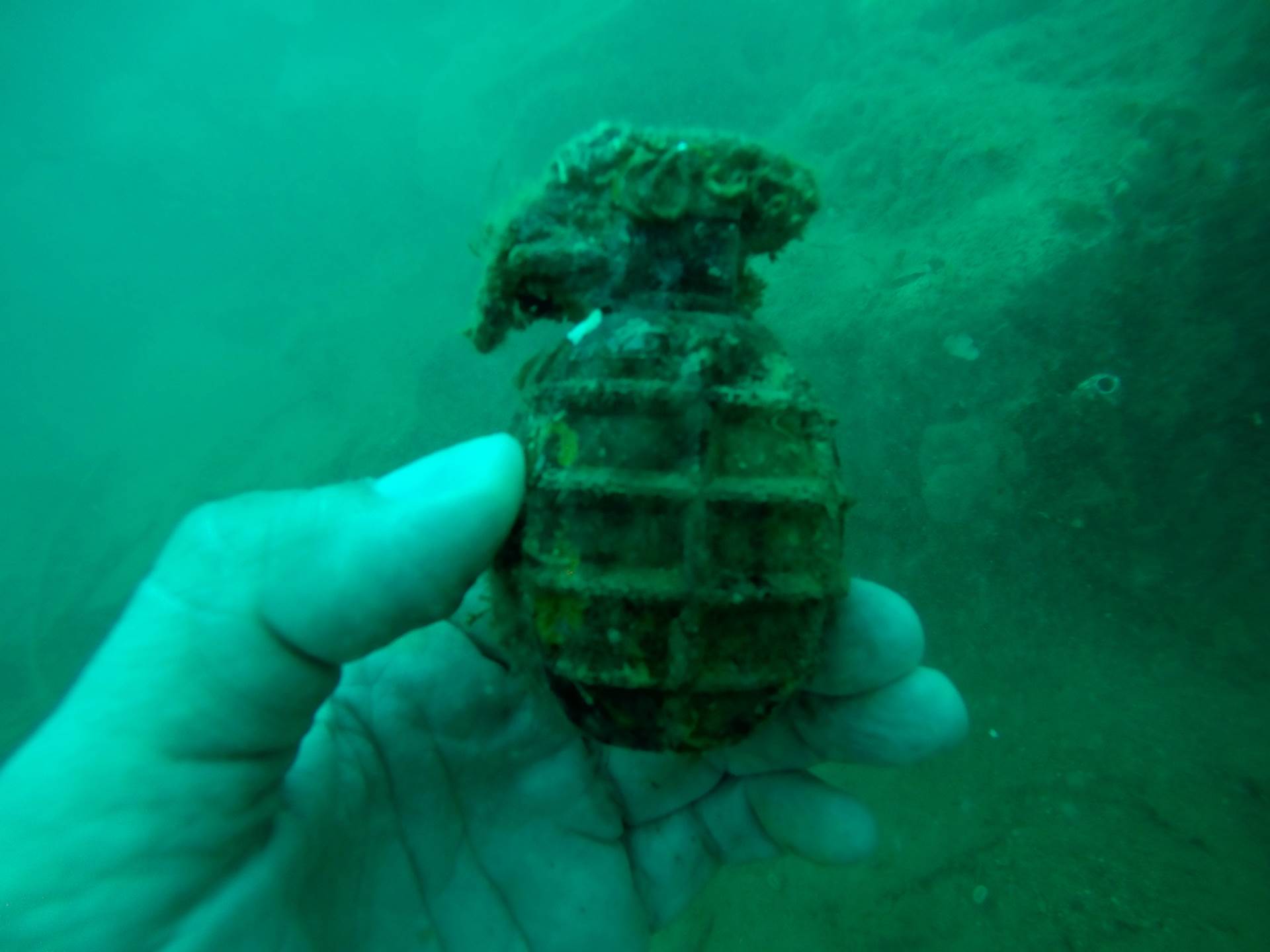 Art Ecology - Art for the Oceans od 21. listopada u Zagrebu