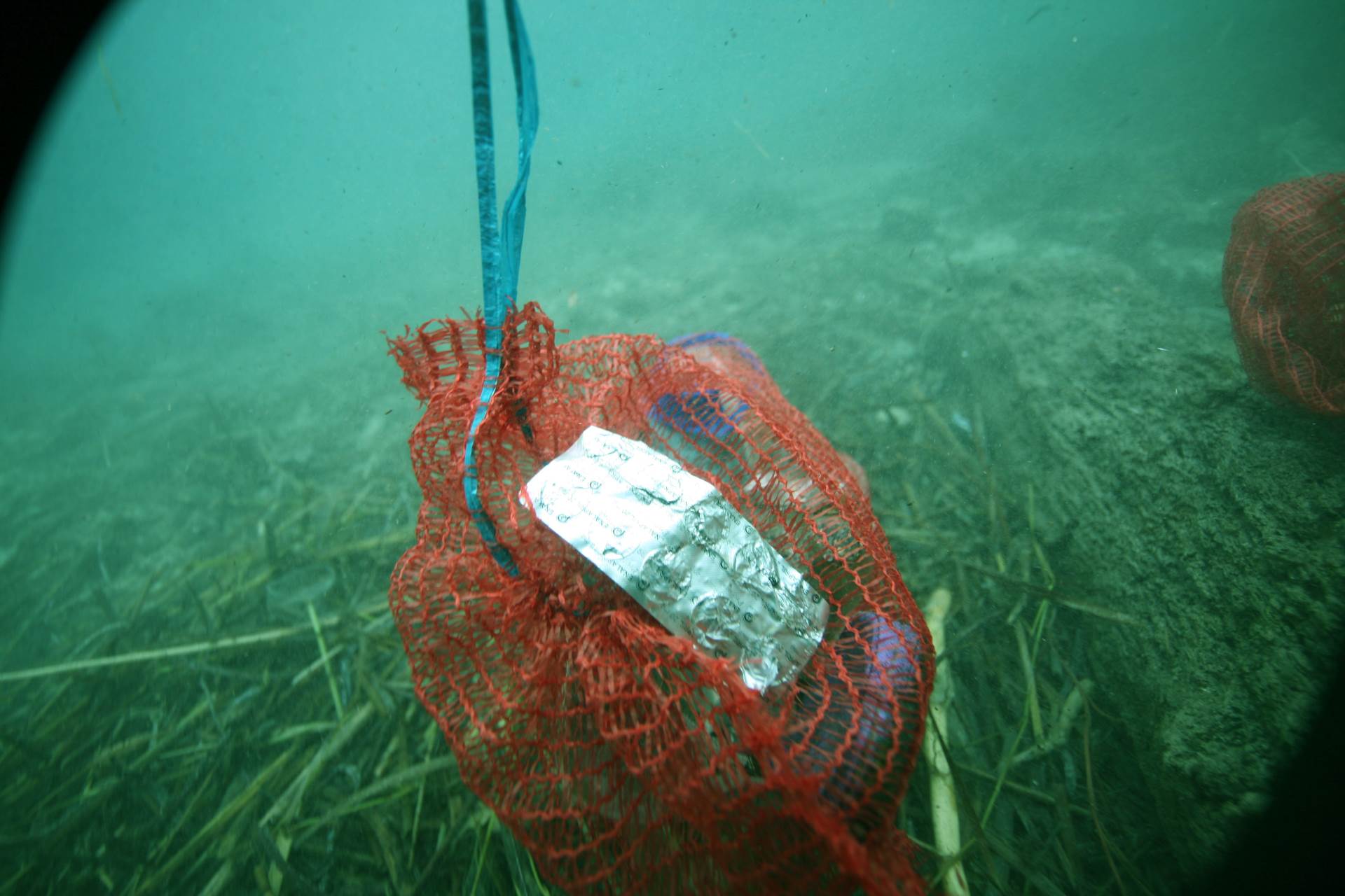 Art Ecology - Art for the Oceans od 21. listopada u Zagrebu