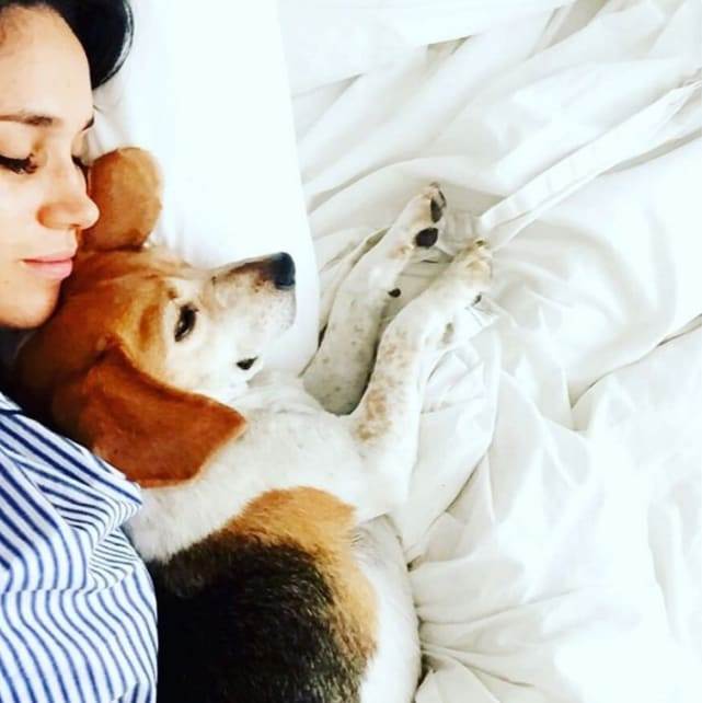 ALKOHOL, GOLIŠAVE FOTKE... Što skriva stari Instagram profil Meghan Markle?