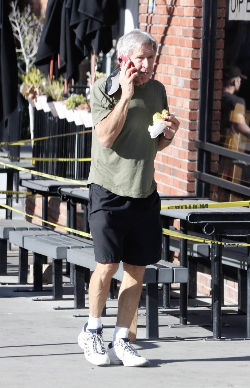 Harrison Ford trenutno je u braku s Calistom Flockhar