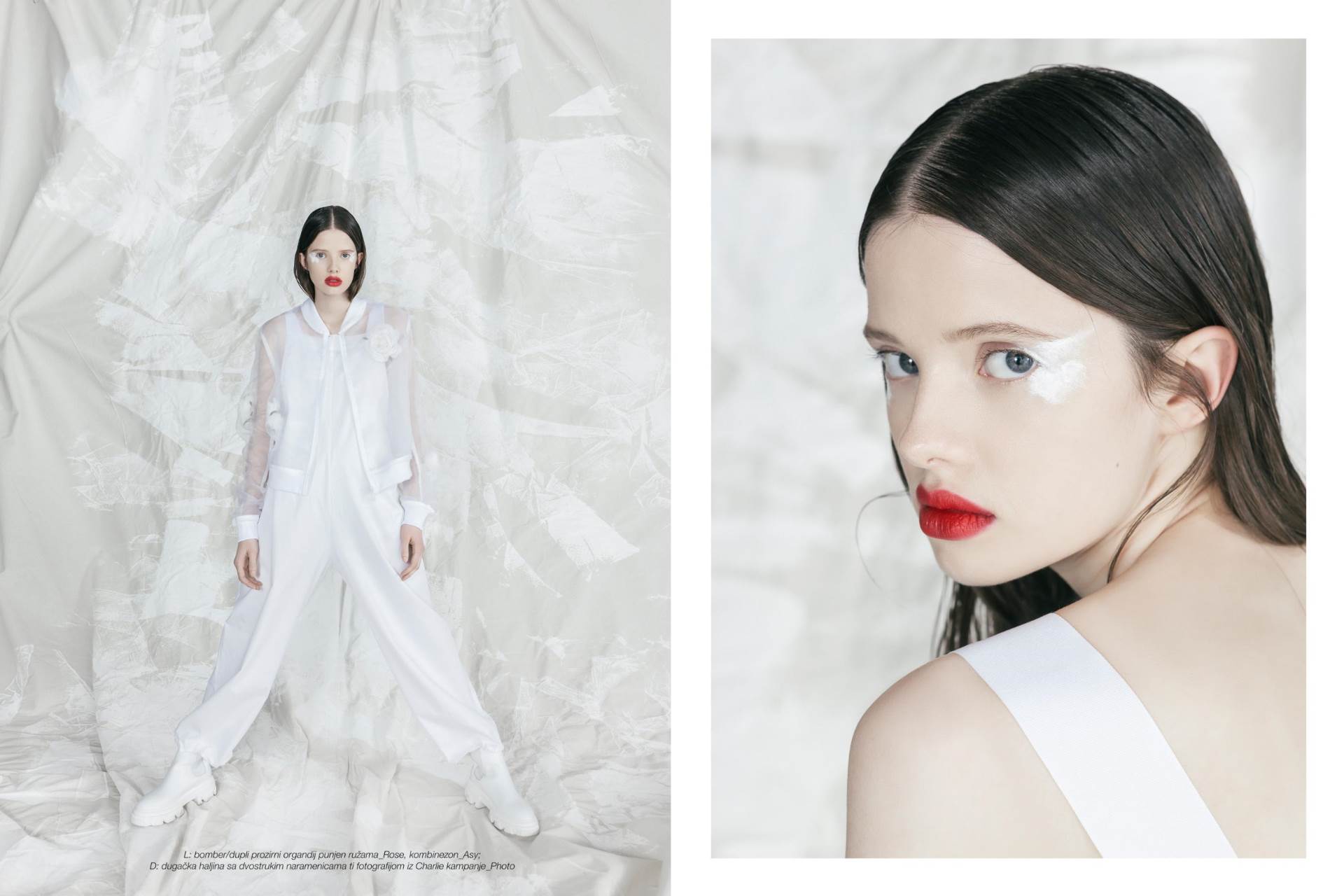 NOVA MODNA POSLASTICA Preostaje nam samo sanjati