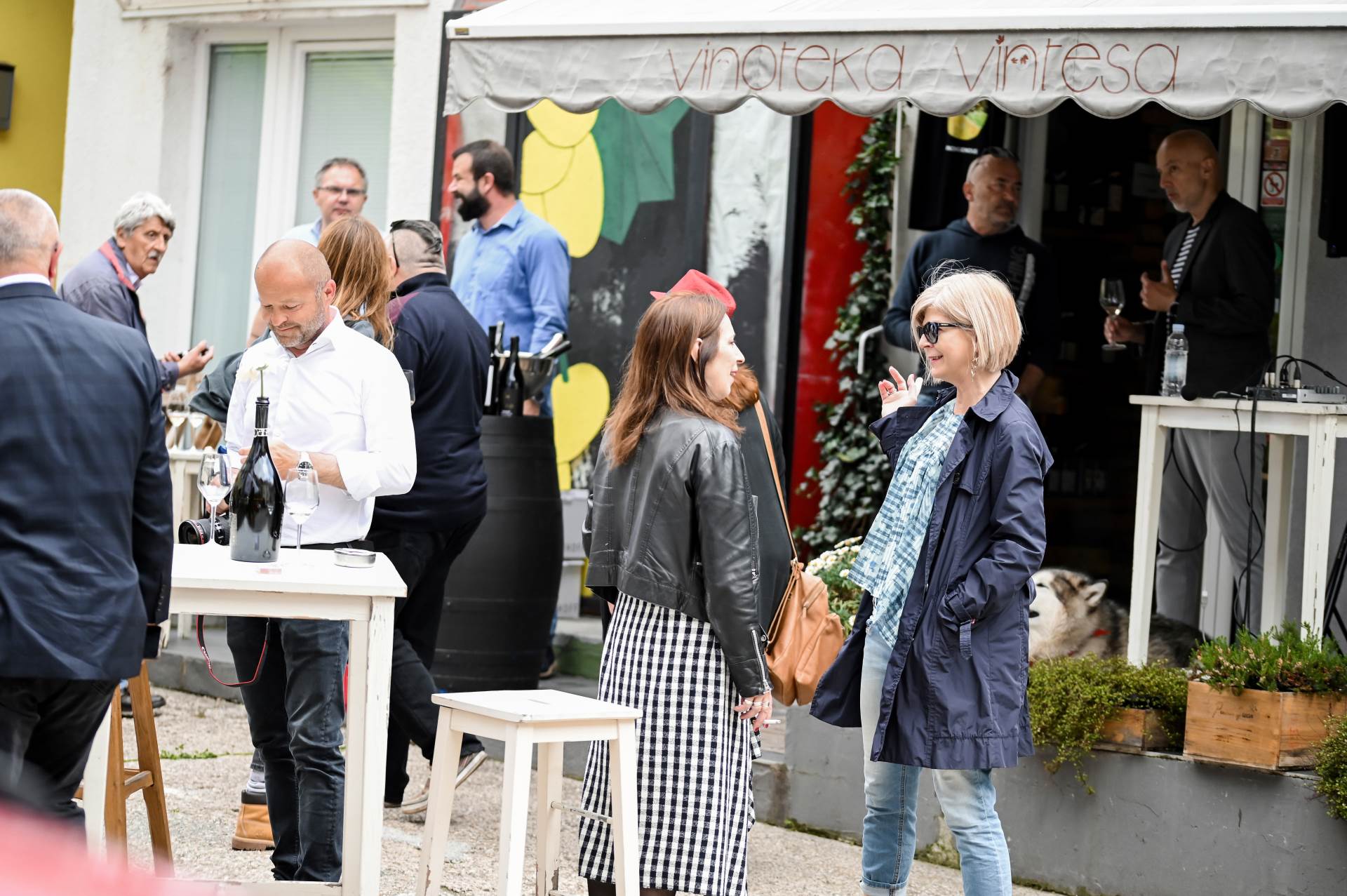 Nagrađena vina vinarija Testament i Black Island