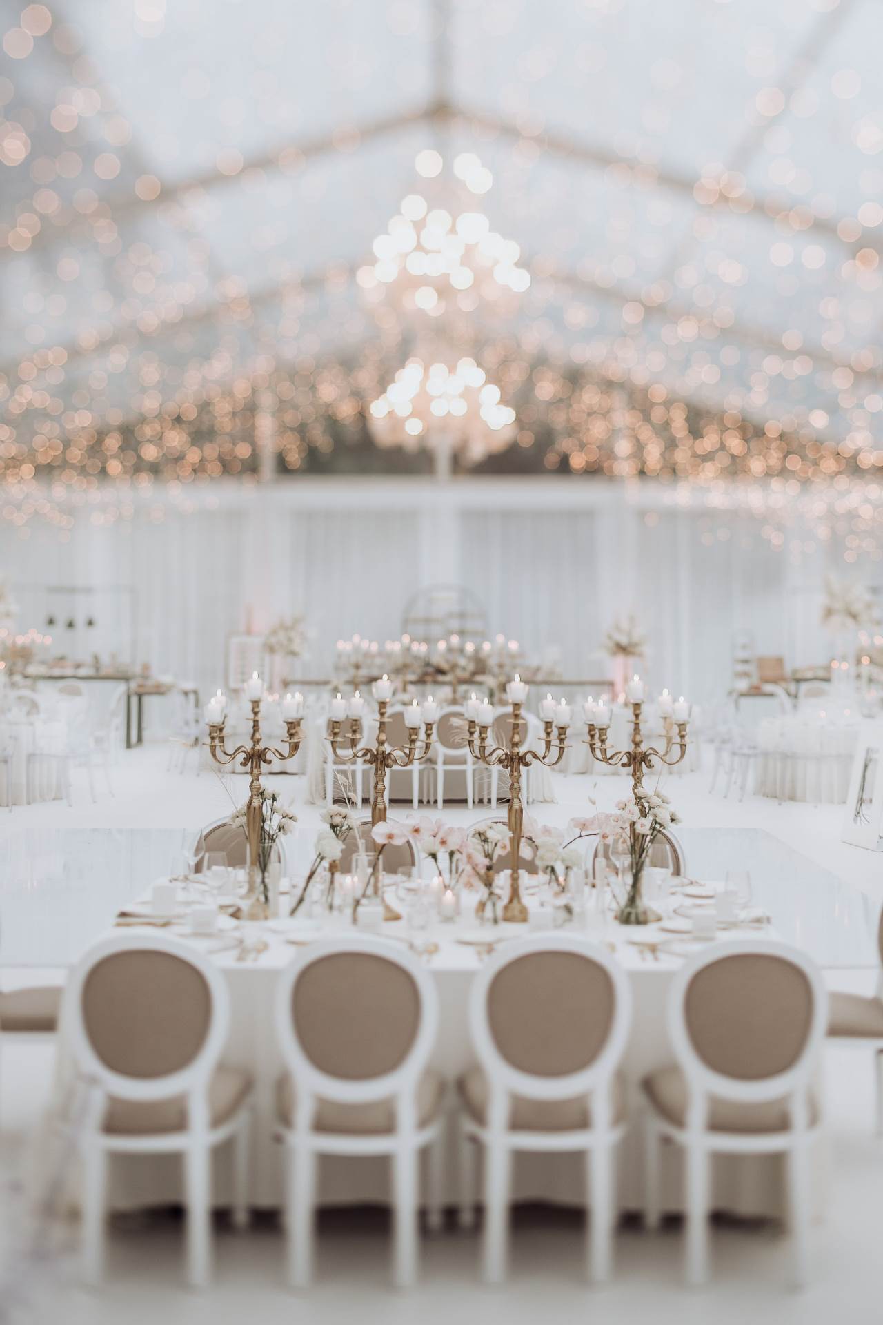 BAJKOVITE FOTOGRAFIJE Emotivni prizori vjenčanja Marka Pjace 