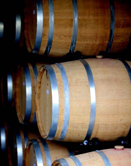 Pet vinarija sjeverozapadne Hrvatske