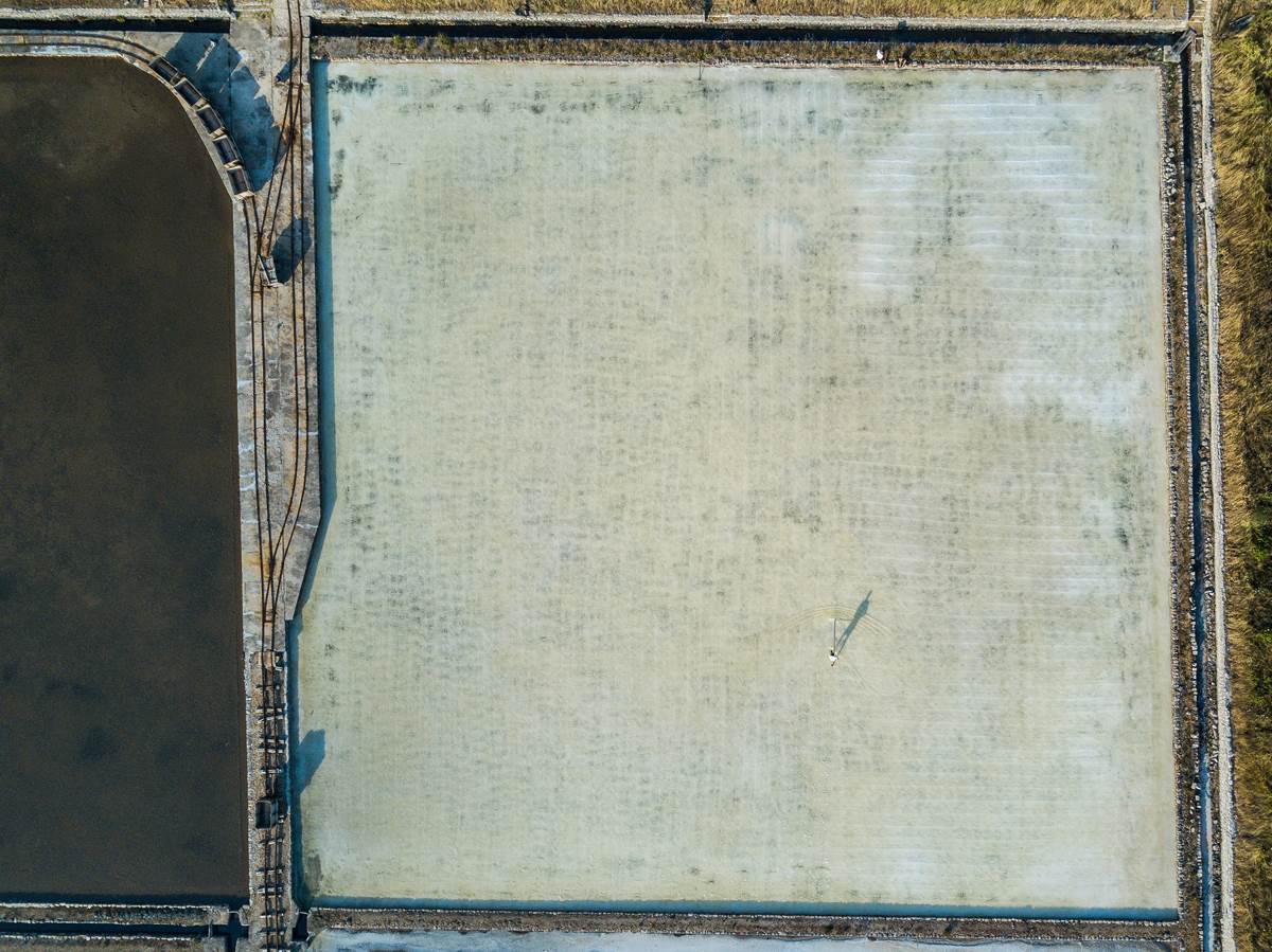 Festival soli u Stonu