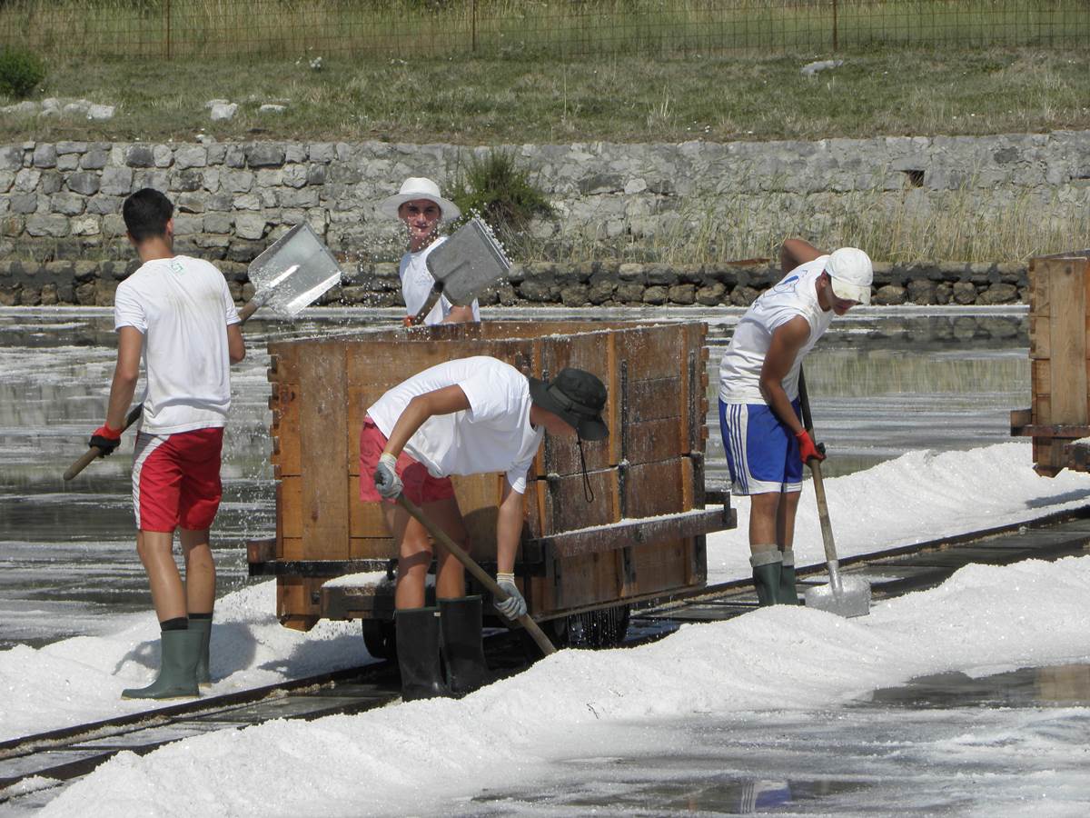 Festival soli u Stonu