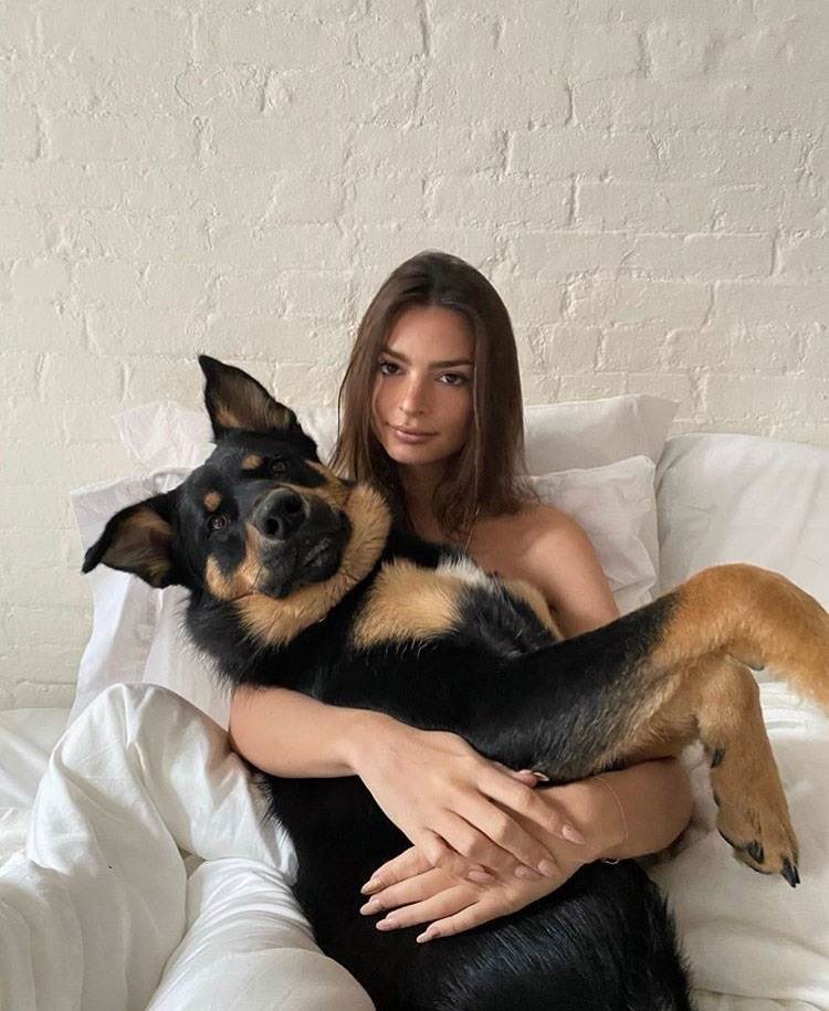 profimedia-0506911264